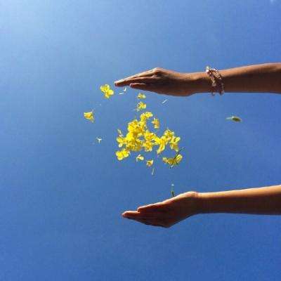 乐鱼app下载下载手机版