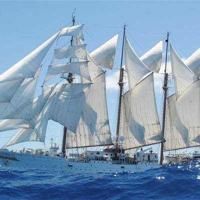 凤凰彩票app手机app下载