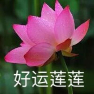 xk星空体育下载